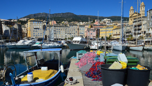 Avocat Bastia